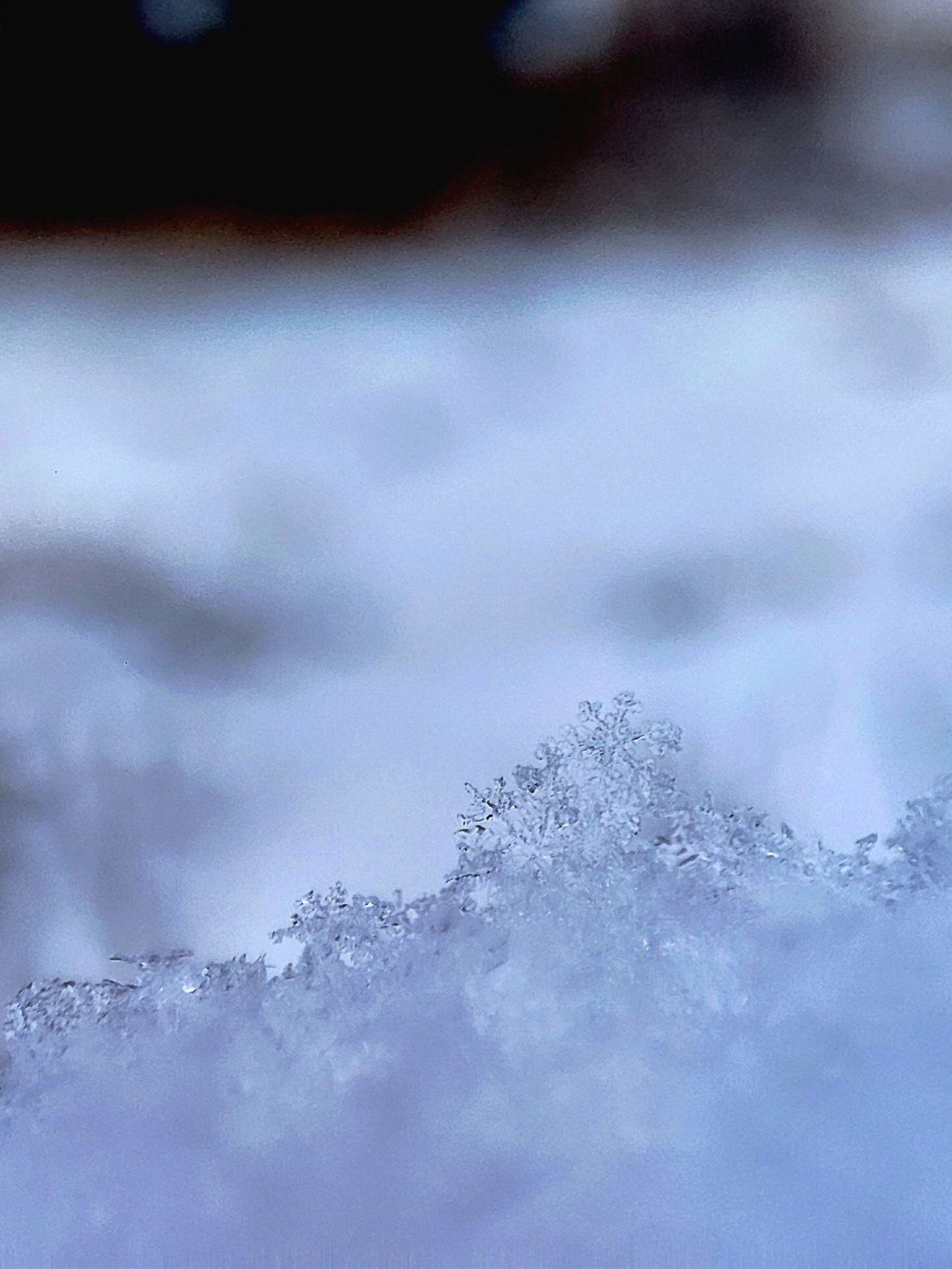 photo_2025-07-29_11-28-31-1-edited Hakkımda